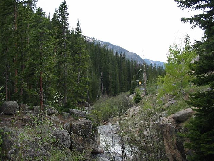 Mountain Stream.JPG